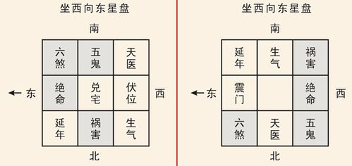 灵机十二生肖配对_十二生肖灵活