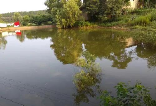 钦州风水宝地留题图_宜州风水留题